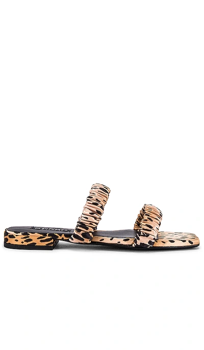 Shop Senso Harley Ii Sandal In Cheetah