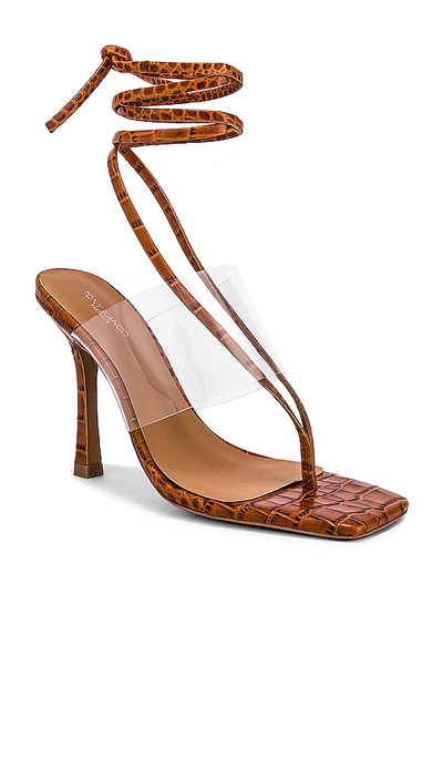 Shop Tony Bianco Francis Sandal In Tan Croc