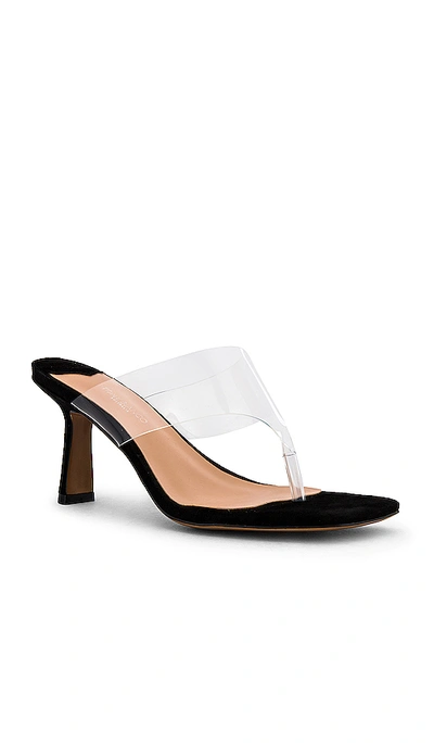 Shop Tony Bianco Bridgette Sandal In Vynalite & Black Suede