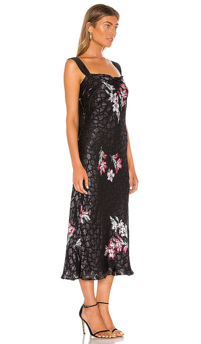 Shop Rebecca Taylor Sleeveless Noha Floral Dress In Black Combo