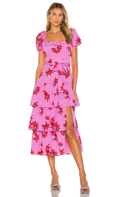 Shop Likely Lottie Dress In Red & Pink Multi