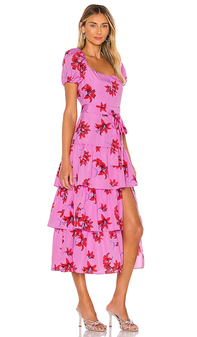 Shop Likely Lottie Dress In Red & Pink Multi