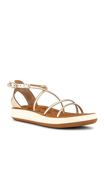 Shop Ancient Greek Sandals Anastasia Comfort Sandal In Platinum