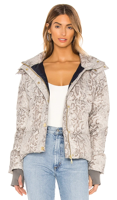 Shop Varley Highland Puffer Jacket In Grunge Snake