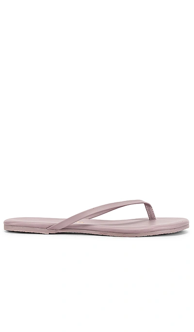 Shop Tkees Solids Flip Flop In Lavender