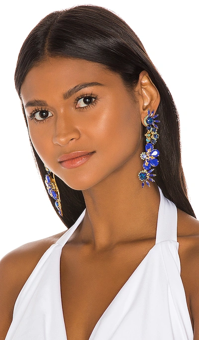 Shop Elizabeth Cole Alva Earrings In Blueberry Blue