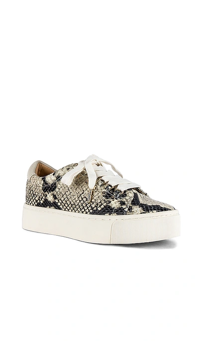 Shop Joie Handan Sneaker In Black & Ivory