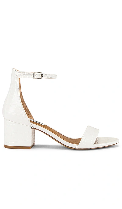 Shop Steve Madden Irenee Sandal In White Crocco