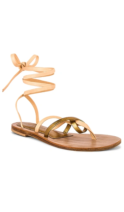 Shop Cornetti Rei Sandal In Tan & Bronze