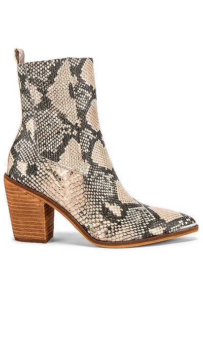 Shop Steve Madden Chels 부티 In Tan Snake