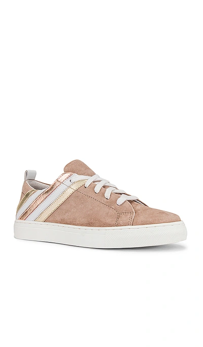 Shop Seychelles Stand Out Sneaker In Taupe Suede & Metallic