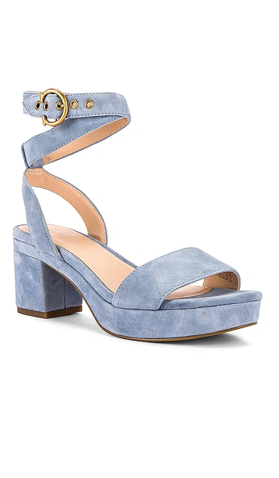 Shop Coach Serena Suede Sandal In Bluebell