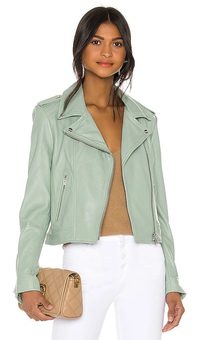 Shop Lamarque Donna Leather Jacket In Dusty Mint