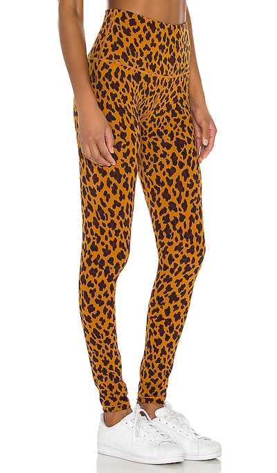 Shop Varley Century Legging In Yellow Cheetah