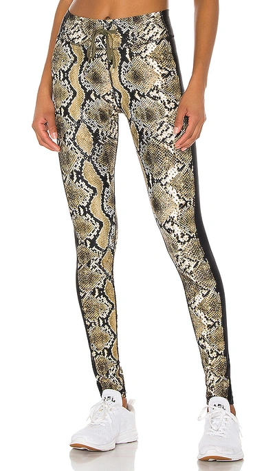 Shop The Upside Snake Skin Yoga Pant