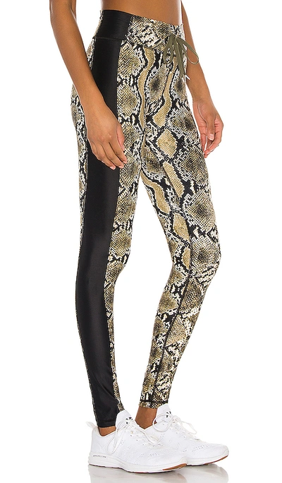 Shop The Upside Snake Skin Yoga Pant