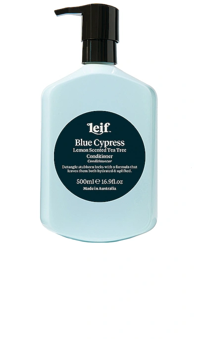 Shop Leif Blue Cypress Conditioner In N,a