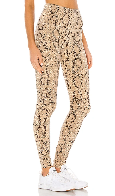 Shop Varley Century Legging In Mojave Snake