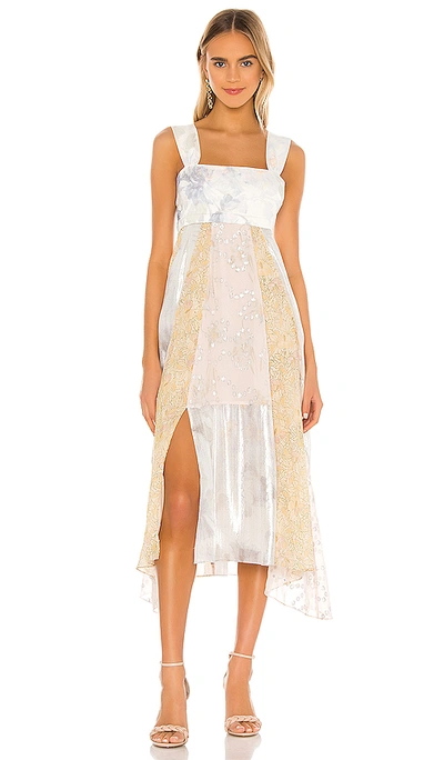 Shop Rebecca Taylor Sleeveless Daffodil Dress In Seashell Combo