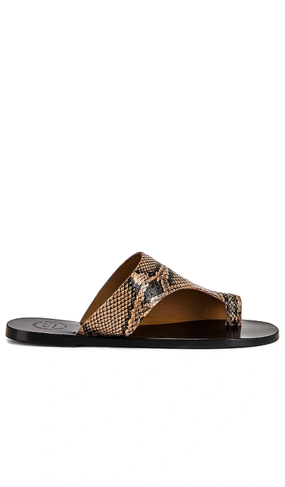 Shop Atp Atelier Rosa Printed Snake Sandal In Brown