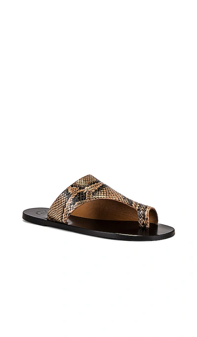 Shop Atp Atelier Rosa Printed Snake Sandal In Brown