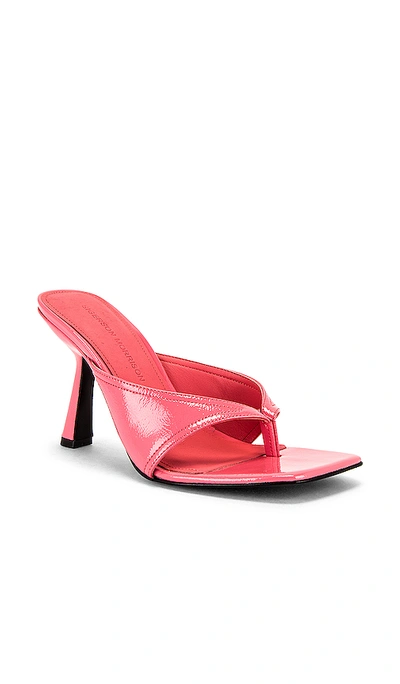 Shop Sigerson Morrison Kaliska Sandal In Glow Pink