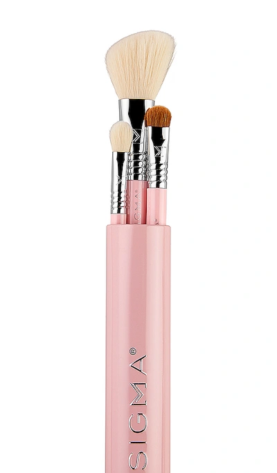 Sigma Beauty Essential Trio Light Pink Travel Size Brush Set In Pink