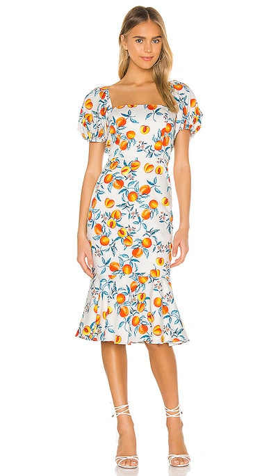 Shop Amanda Uprichard Senorita Dress In Peaches