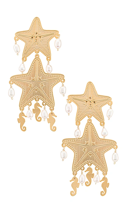 Shop Mercedes Salazar Isla Starfish Earring In Gold