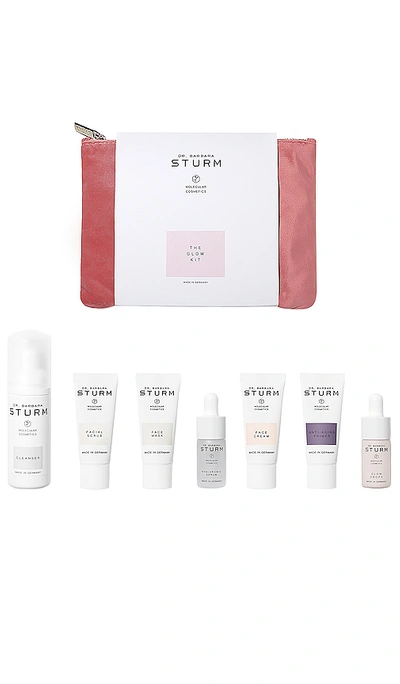 Shop Dr Barbara Sturm The Glow Kit