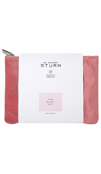 Shop Dr. Barbara Sturm The Glow Kit