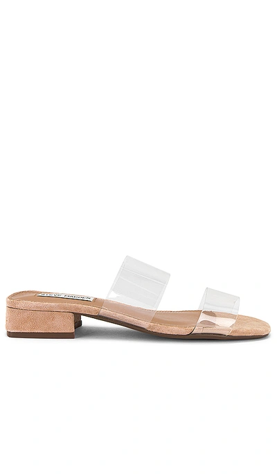 Shop Steve Madden Jaron Sandal In Natural