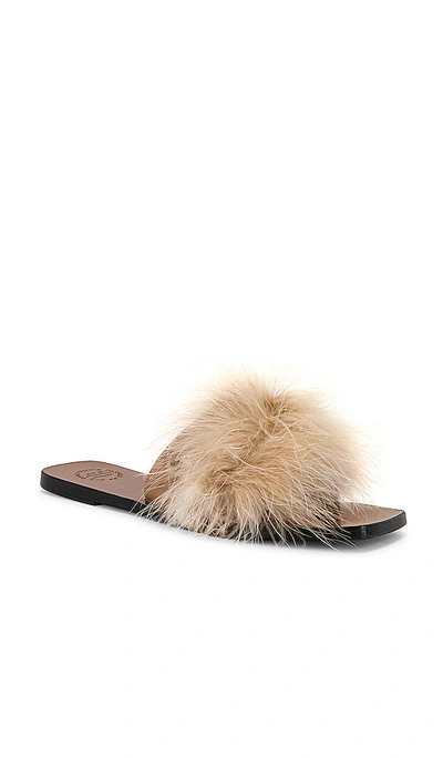 Shop Atp Atelier Farro Short Feather Sandal In Greyish
