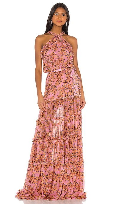 Shop Alexis Genevra Dress In Rose Floral