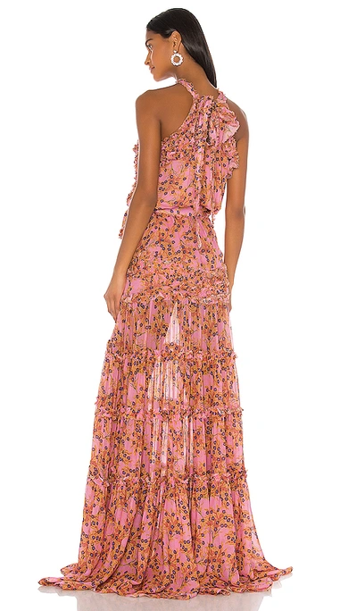 Shop Alexis Genevra Dress In Rose Floral