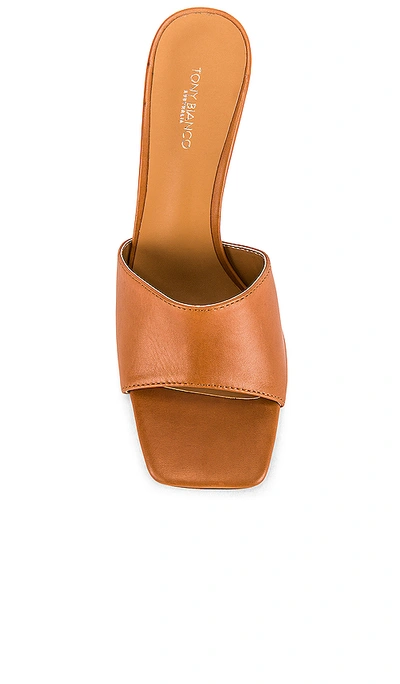 Shop Tony Bianco Flora Mule In Tan Como