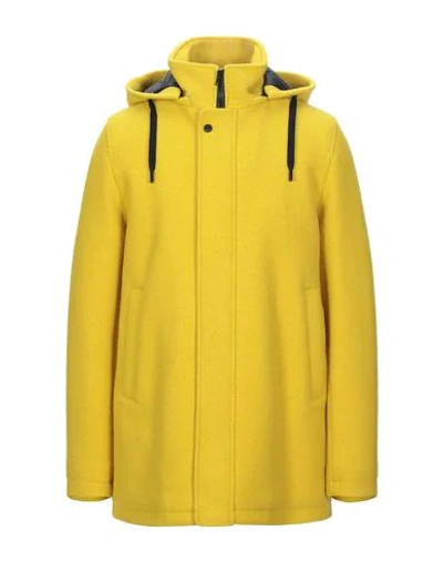 Shop Herno Man Coat Yellow Size 40 Virgin Wool, Viscose, Polyurethane