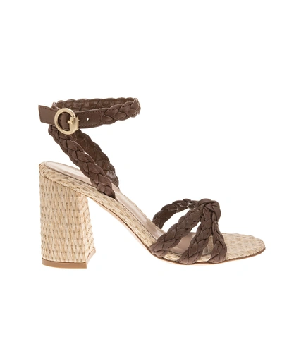 Shop Gianvito Rossi Braided Sandals In Texas/naturale