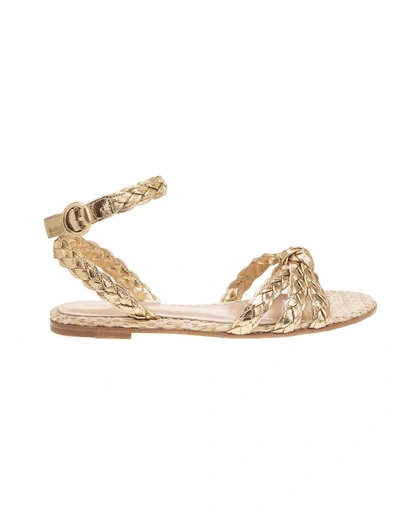 Shop Gianvito Rossi Braided Flat Sandals In Mekong/naturale