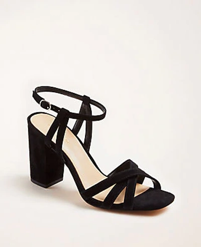 Shop Ann Taylor Ilaria Suede Sandals In Black