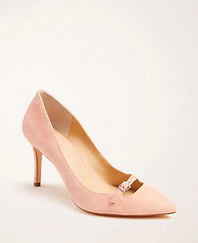 Shop Ann Taylor Mila Mini Buckle Suede Pumps In Paloma