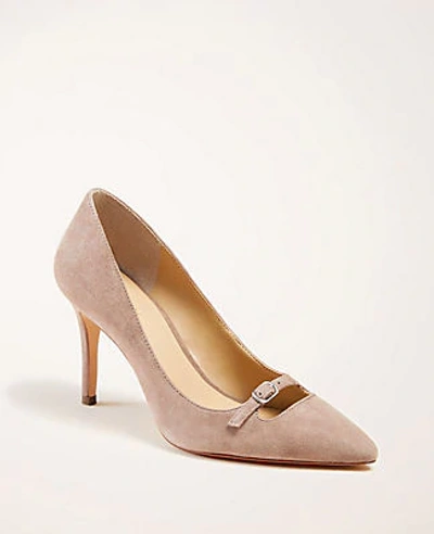 Shop Ann Taylor Mila Mini Buckle Suede Pumps In Stone Palisade