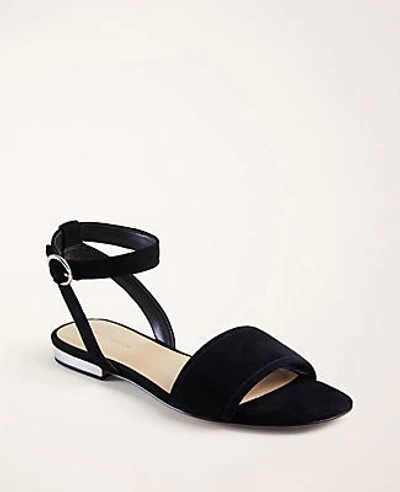 Shop Ann Taylor Adley Suede Sandals In Black