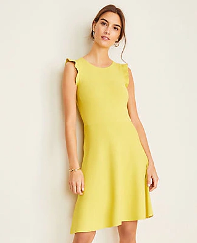 Ann taylor ruffle dress cheap