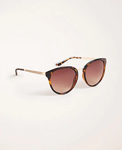 Shop Ann Taylor Round Sunglasses In Tortoise Brown