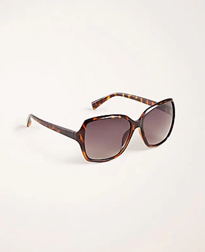 Shop Ann Taylor Square Sunglasses In Tortoise Brown