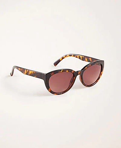 Shop Ann Taylor Cateye Sunglasses In Tortoise Brown