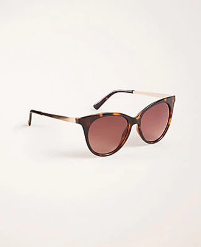 Shop Ann Taylor Cateye Sunglasses In Tortoise Brown