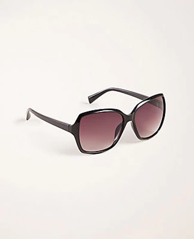 Shop Ann Taylor Square Sunglasses In Black