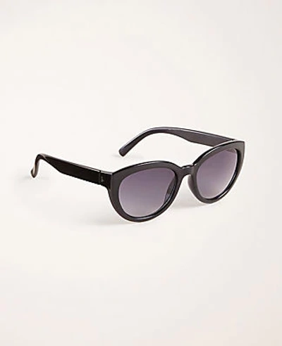Shop Ann Taylor Cateye Sunglasses In Black